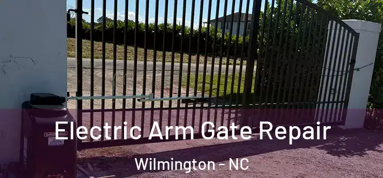Electric Arm Gate Repair Wilmington - NC