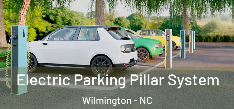  Electric Parking Pillar System Wilmington - NC