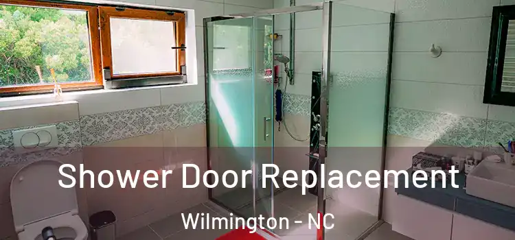 Shower Door Replacement Wilmington - NC